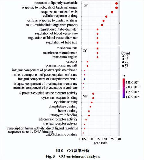 麻黃細(xì)辛附子湯治療變應(yīng)性鼻炎的網(wǎng)絡(luò)藥理學(xué)研究及實(shí)驗(yàn)驗(yàn)證